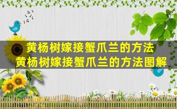 黄杨树嫁接蟹爪兰的方法 黄杨树嫁接蟹爪兰的方法图解